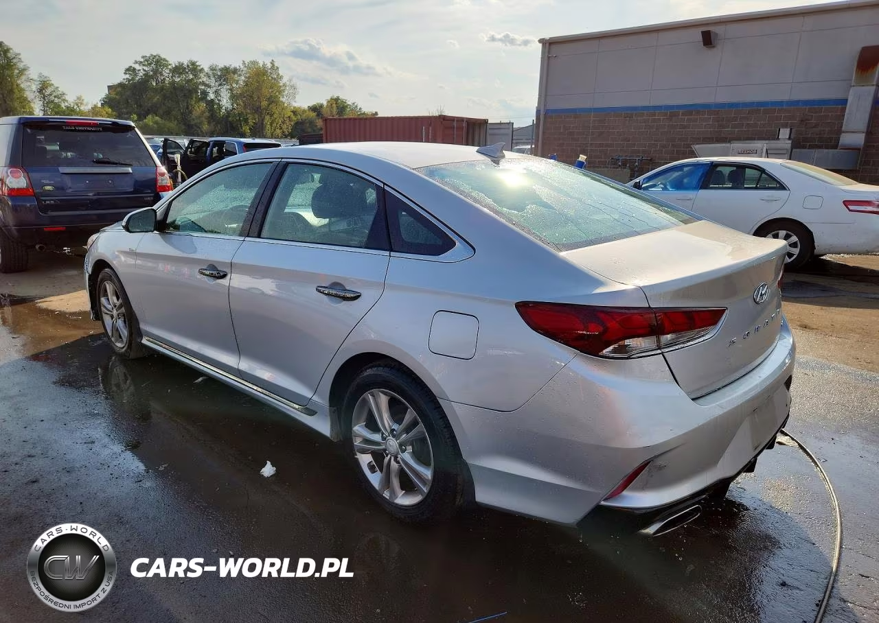 2019 Hyundai Sonata Sport VIN:5NPE34AF8KH783954 - 2