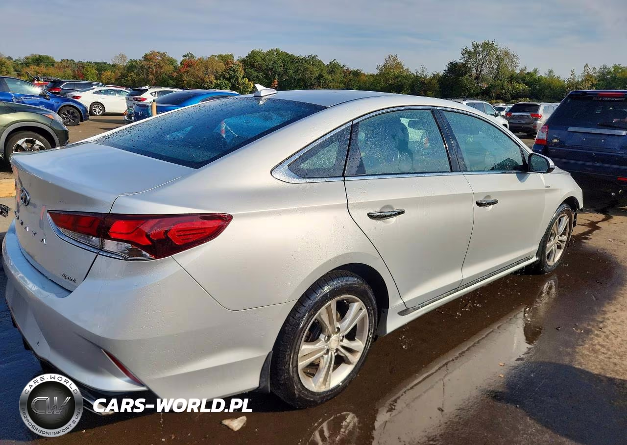 2019 Hyundai Sonata Sport VIN:5NPE34AF8KH783954 - 3