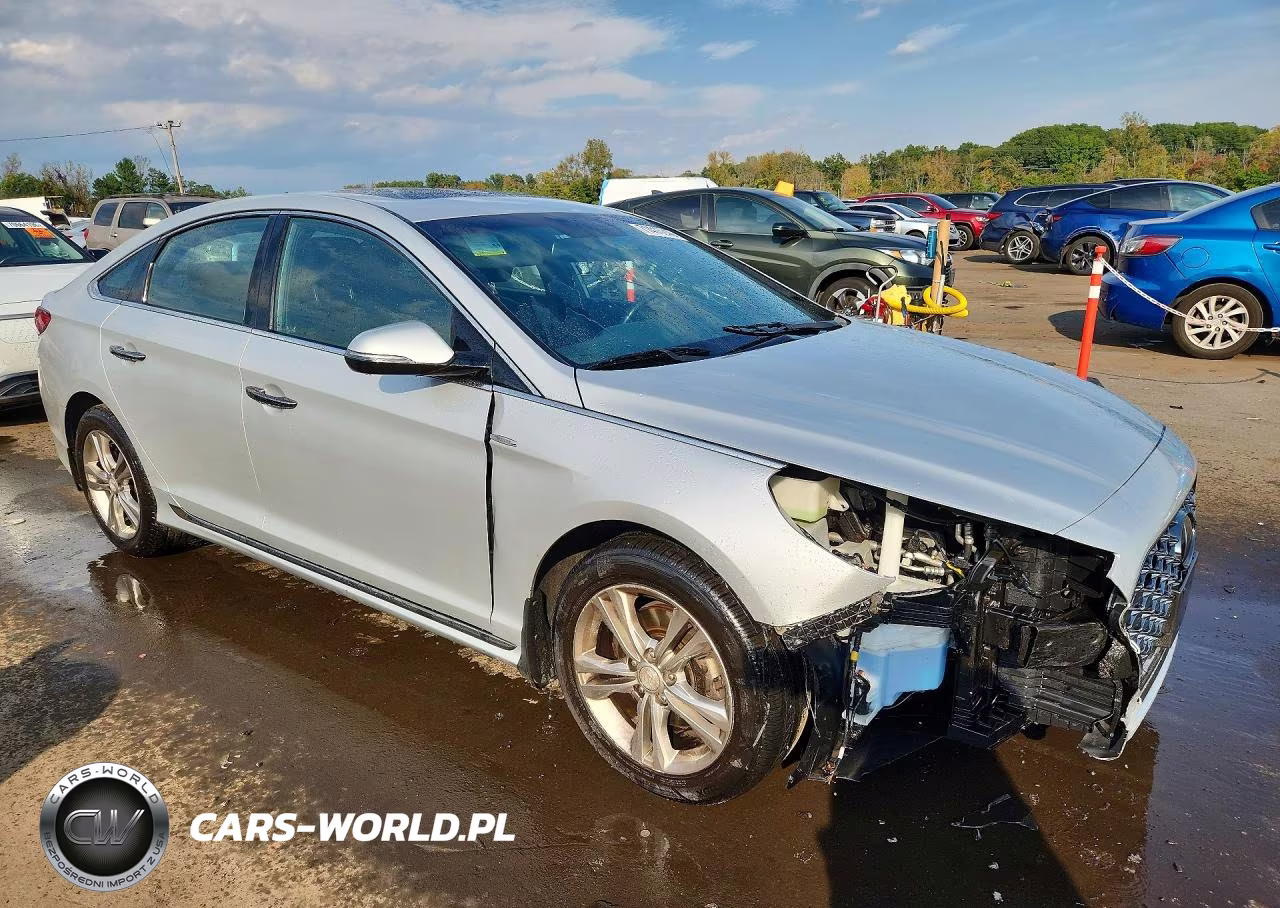 2019 Hyundai Sonata Sport VIN:5NPE34AF8KH783954 - 4