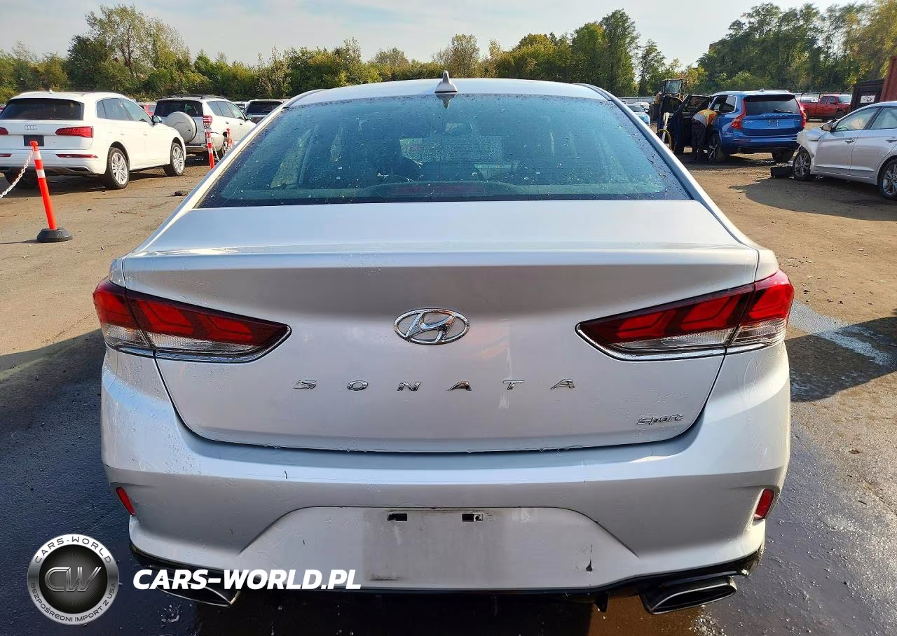 2019 Hyundai Sonata Sport VIN:5NPE34AF8KH783954 - 6