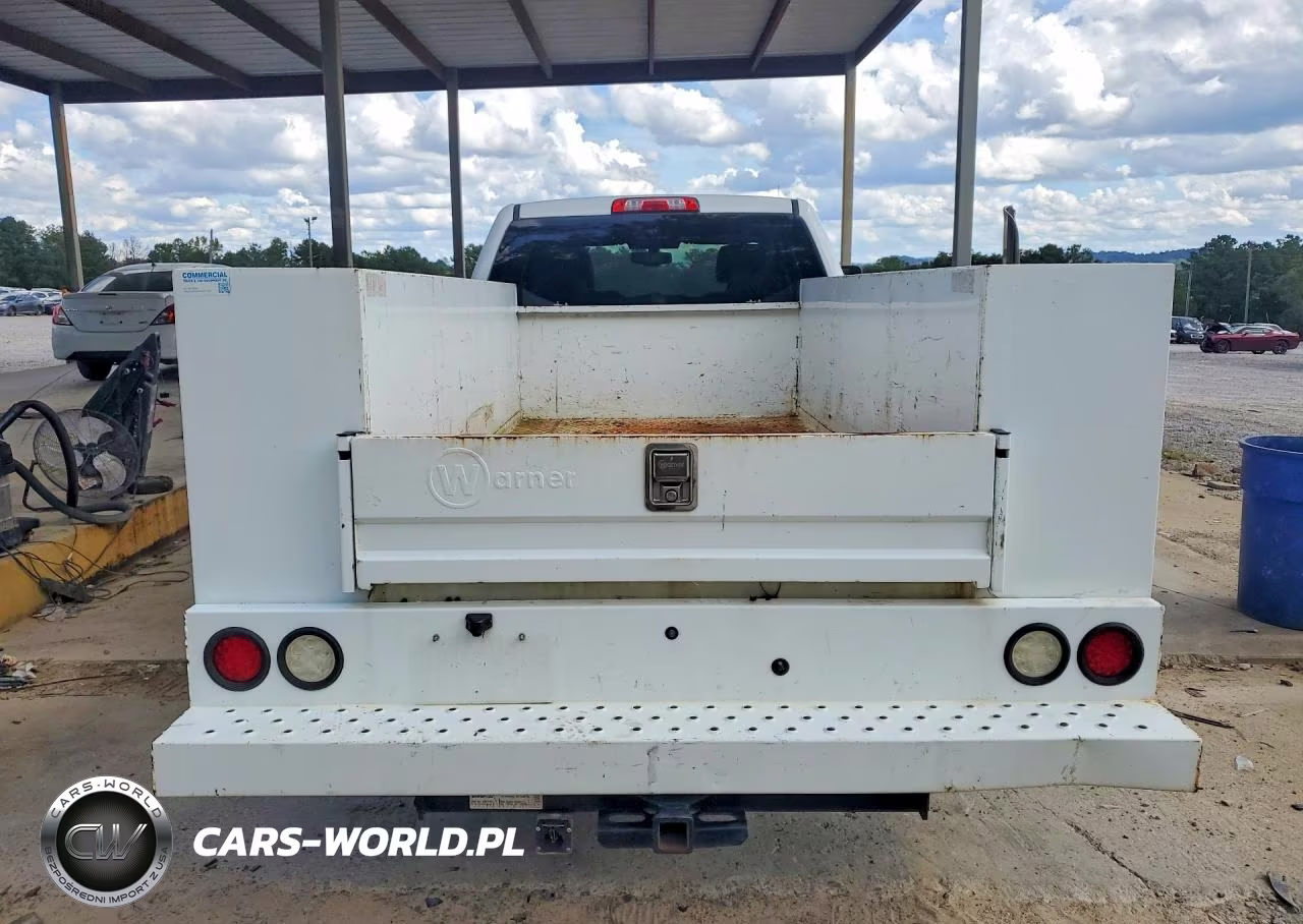 2019 Chevrolet Silverado C2500 Heavy Duty VIN:2GB2CREG2K1185075 - 3