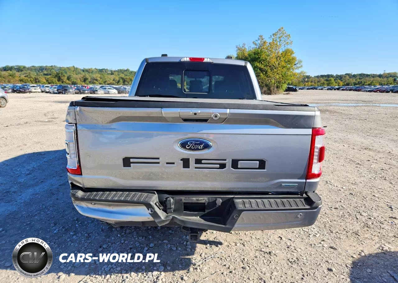2023 Ford F150 Supercrew VIN:1FTFW1E81PKE22970 - 6