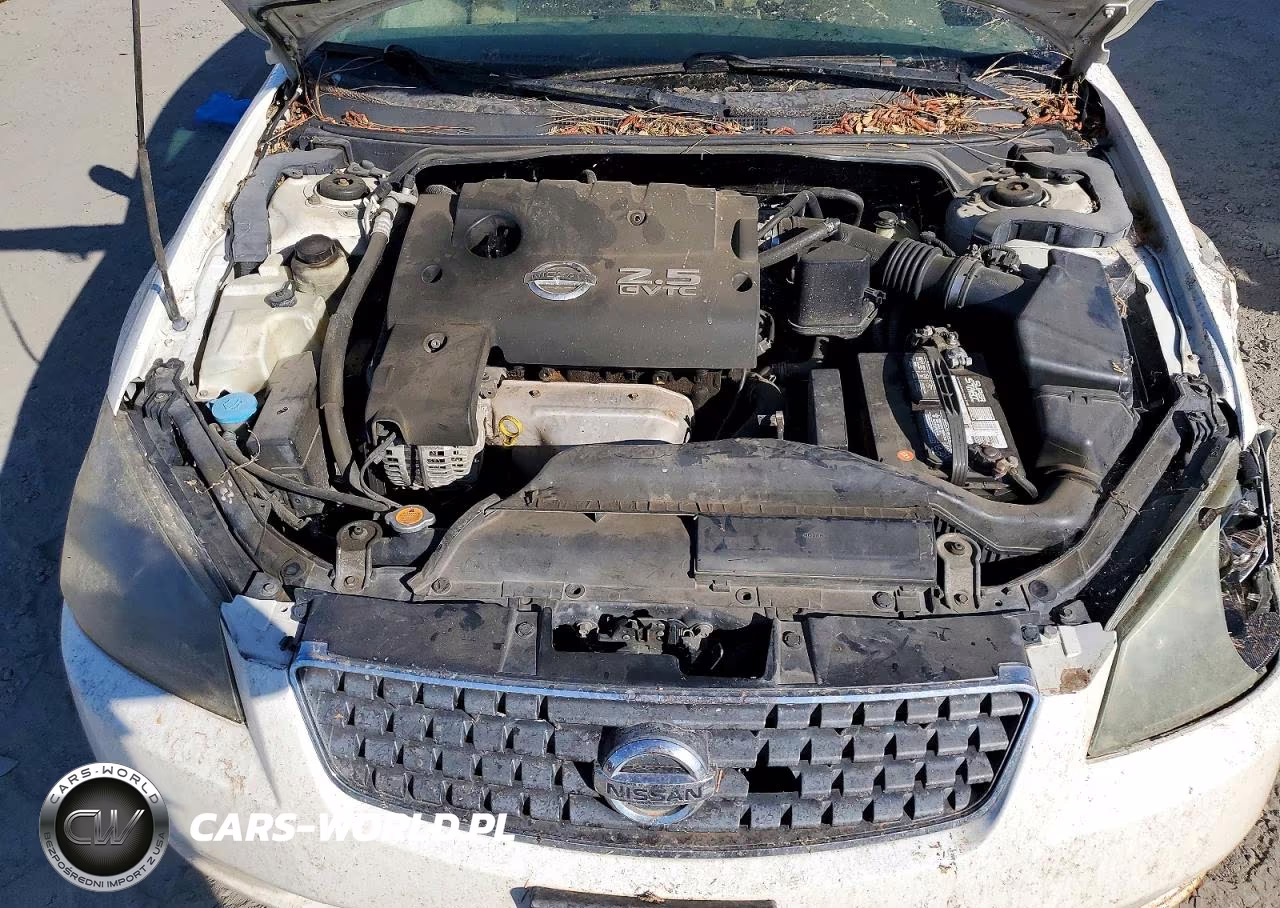 2006 Nissan Altima 2.5 VIN:1N4AL11D86C161213 - 11