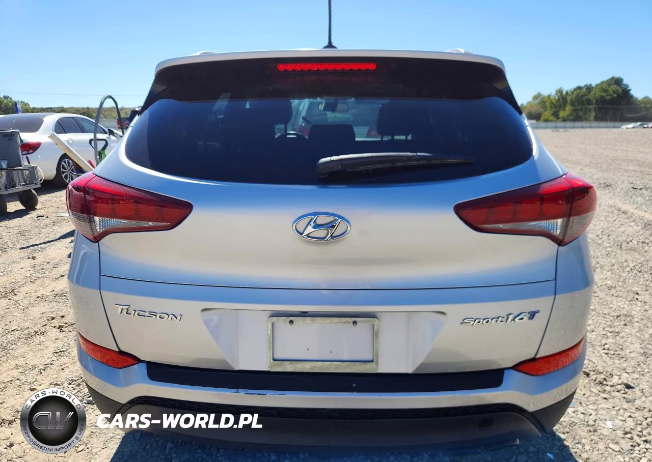 2016 Hyundai Tucson Sport VIN:KM8J33A21GU204012 - 6