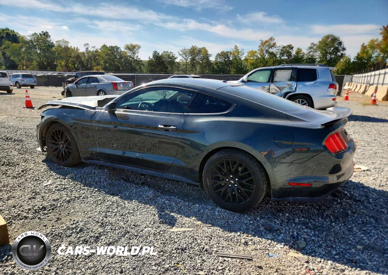 2016 Ford Mustang Gt VIN:1FA6P8CF5G5327145 - 2