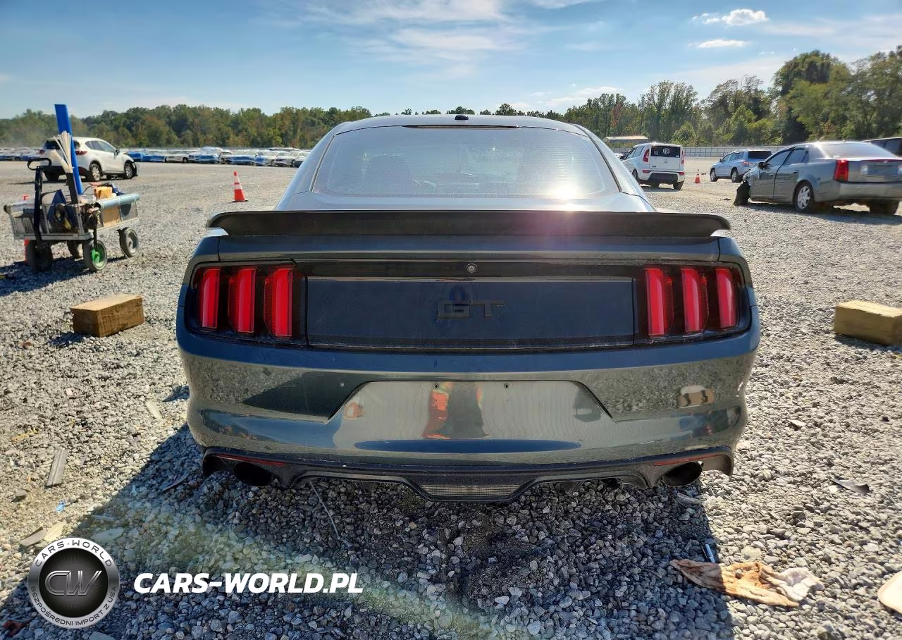 2016 Ford Mustang Gt VIN:1FA6P8CF5G5327145 - 6