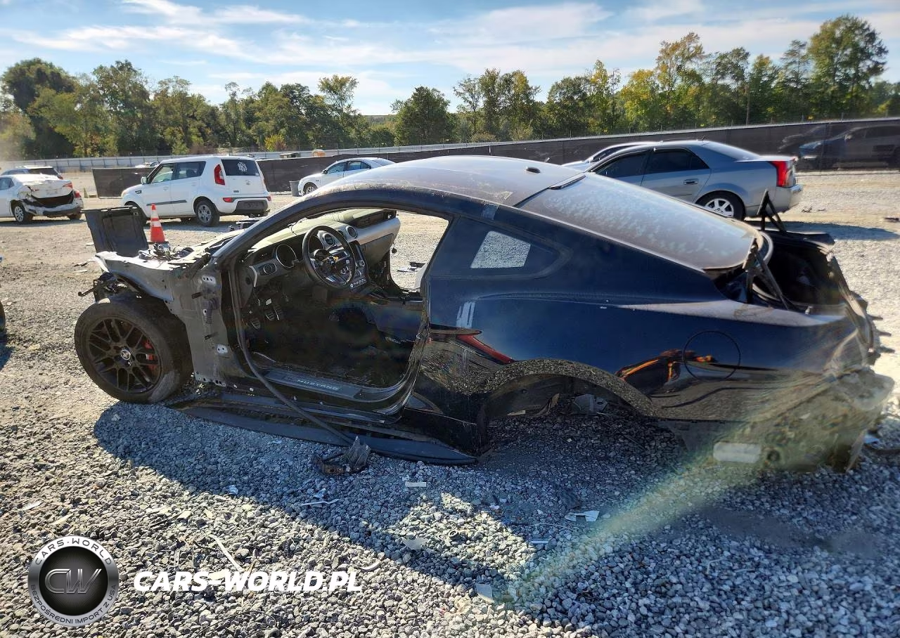 2019 Ford Mustang Gt VIN:1FA6P8CF9K5142721 - 2