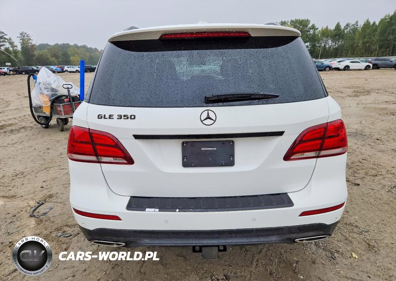 2016 Mercedes-Benz Gle 350 VIN:4JGDA5JBXGA667668 - 6