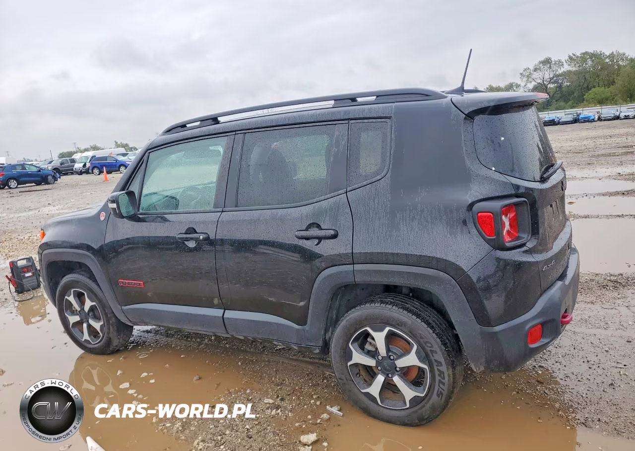 2020 Jeep Renegade Trailhawk VIN:ZACNJBC16LPM03673 - 2