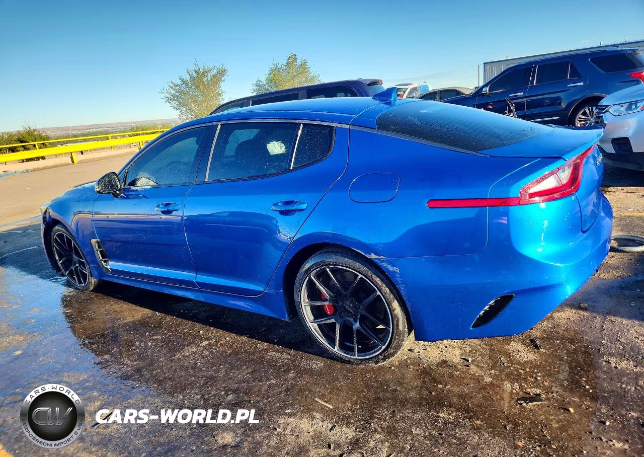 2018 Kia Stinger Gt VIN:KNAE35LC0J6012502 - 2
