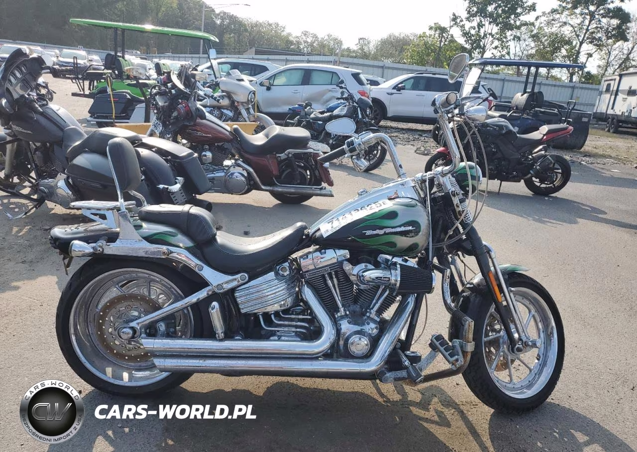 2009 Harley-Davidson Fxstsse3