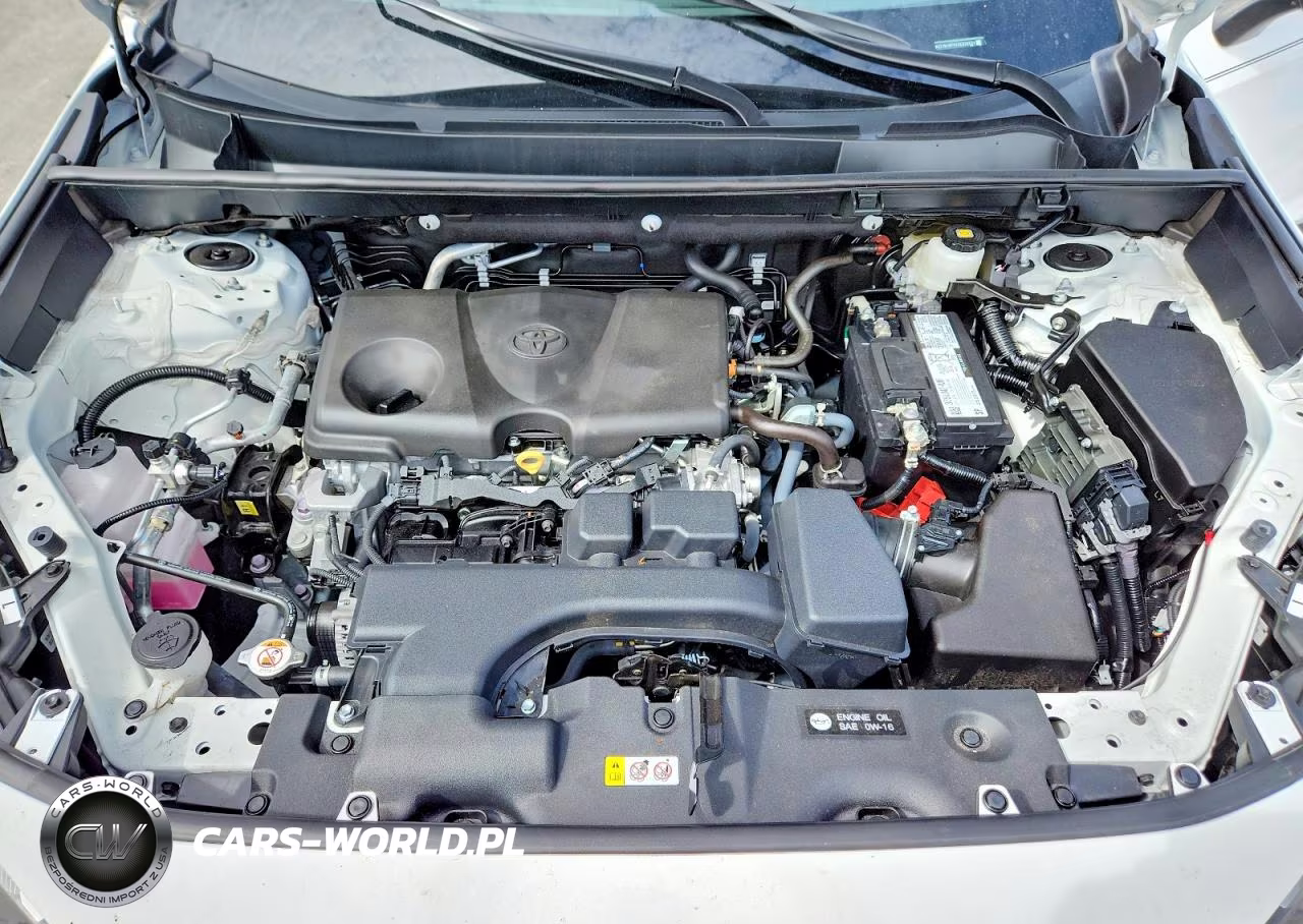 2025 Toyota Rav4 Xle VIN:2T3W1RFV4SC336331 - 12