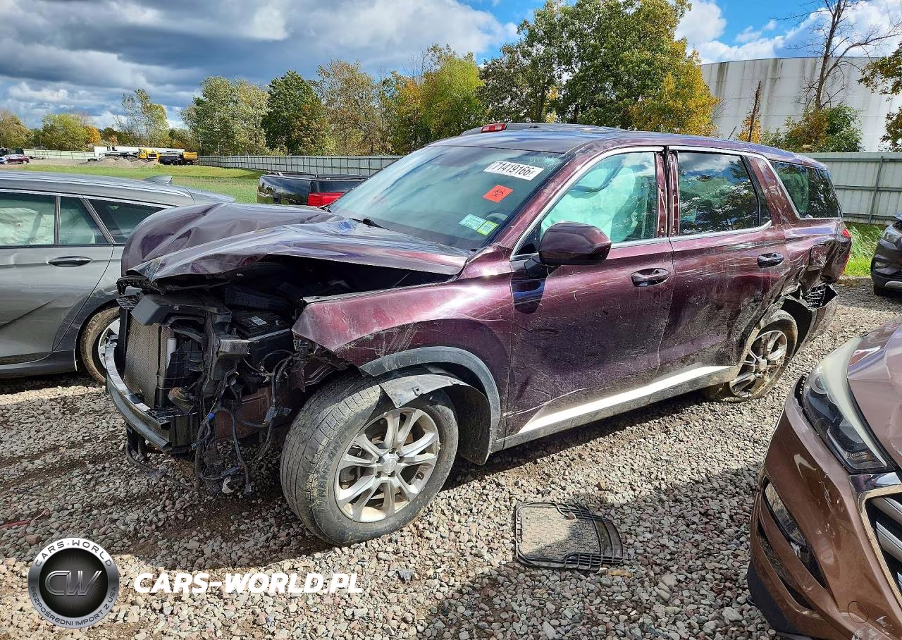 2020 Hyundai Palisade Se VIN:KM8R1DHE5LU043592 - 1