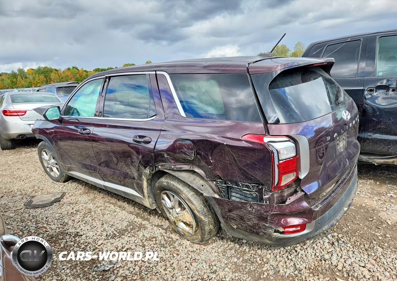 2020 Hyundai Palisade Se VIN:KM8R1DHE5LU043592 - 2