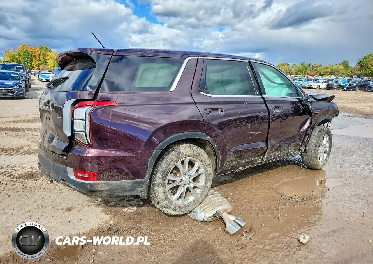2020 Hyundai Palisade Se VIN:KM8R1DHE5LU043592 - 3