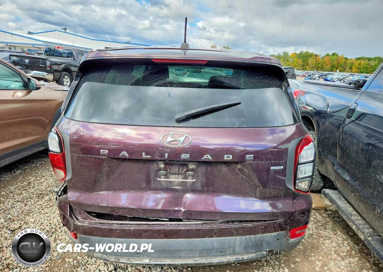 2020 Hyundai Palisade Se VIN:KM8R1DHE5LU043592 - 6