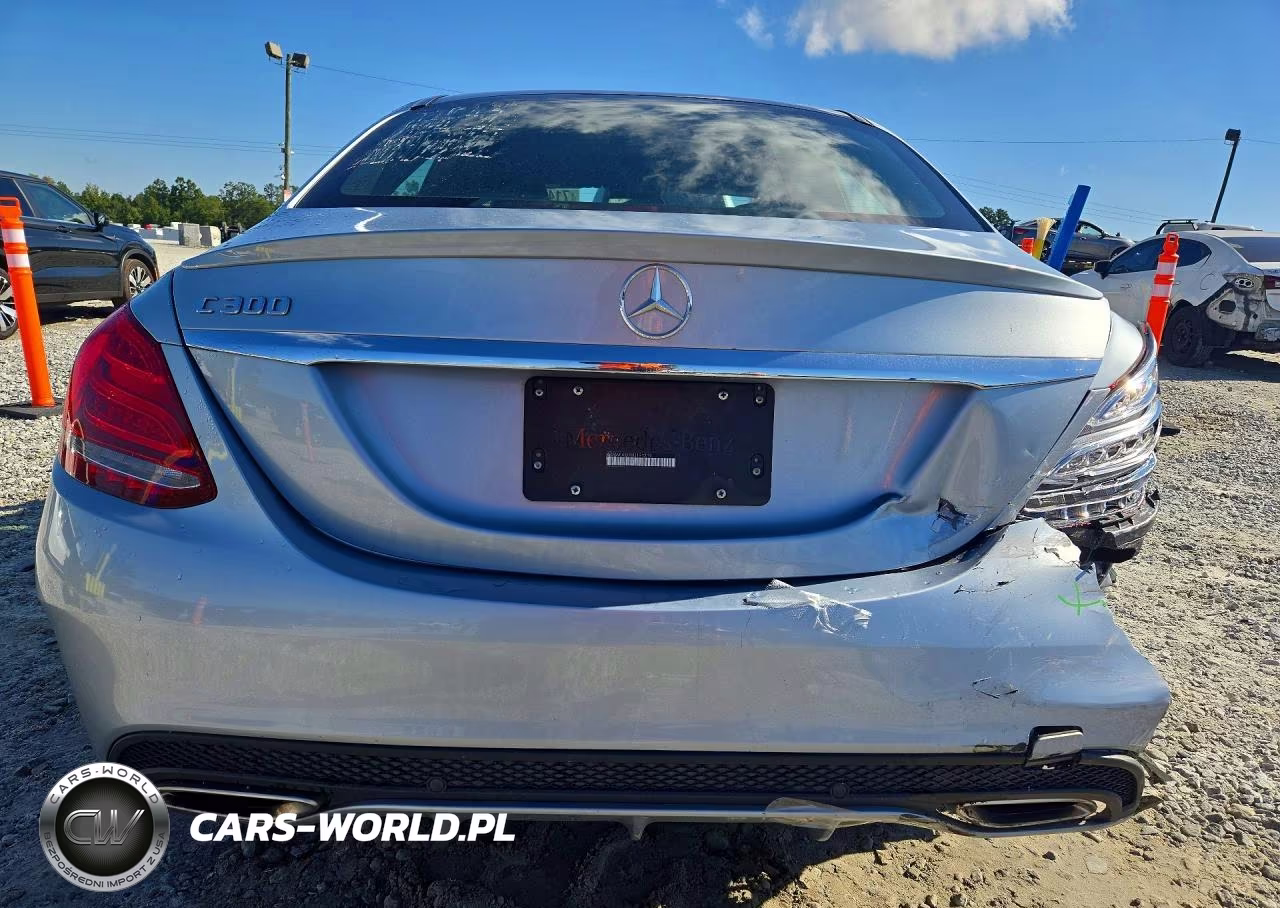 2017 Mercedes-Benz C 300 VIN:55SWF4JB7HU191315 - 6