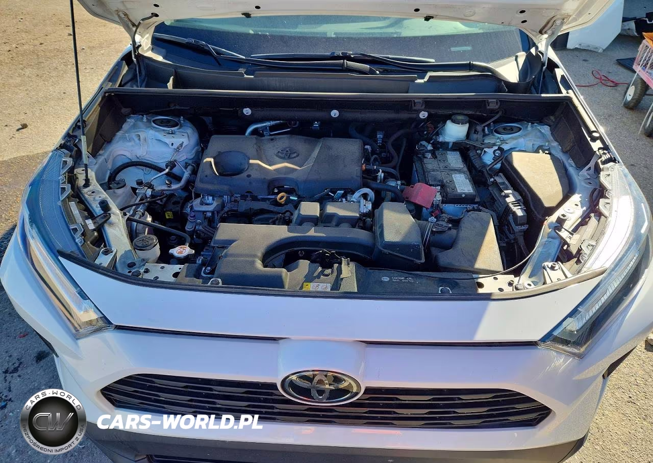 2023 Toyota Rav4 Xle VIN:2T3W1RFV8PW240563 - 12