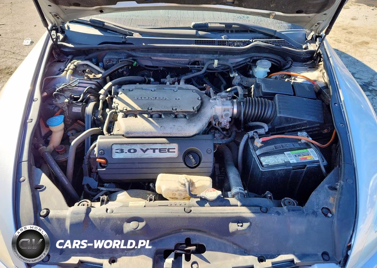 2004 Honda Accord Lx VIN:1HGCM82264A021743 - 11