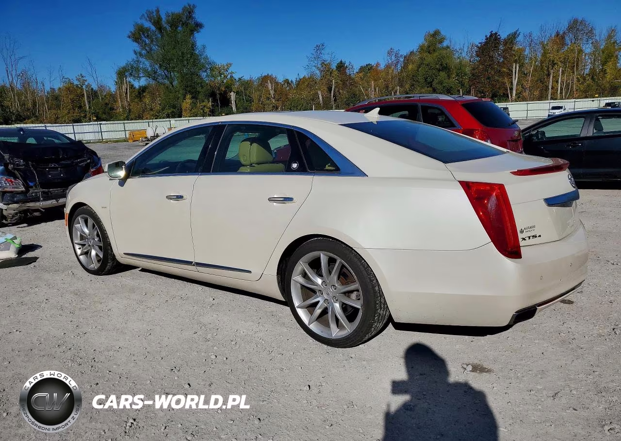 2013 Cadillac Xts Premium Collection VIN:2G61T5S36D9171673 - 2