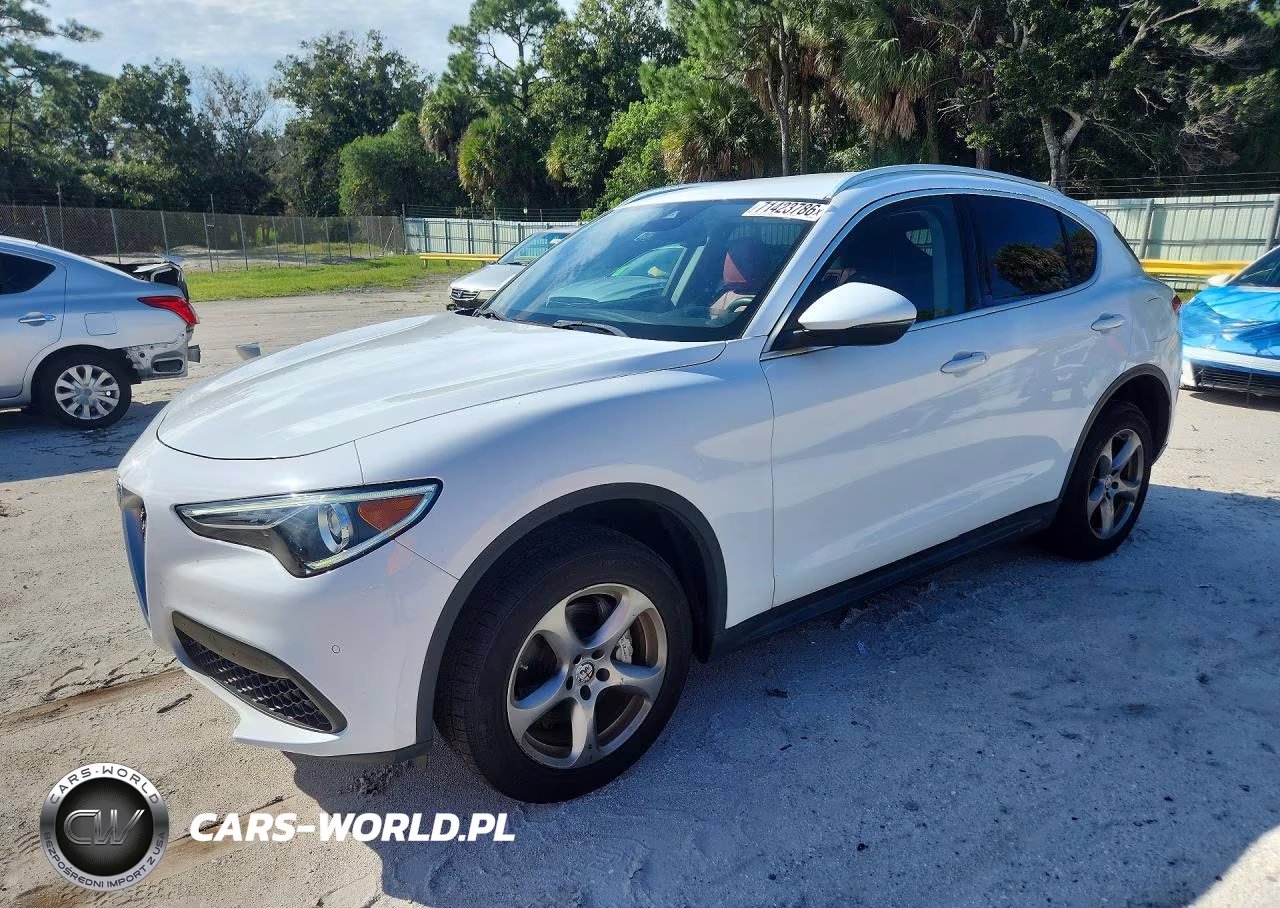 2019 Alfa Romeo Stelvio Sport VIN:ZASPAJAN9K7C38460 - 1