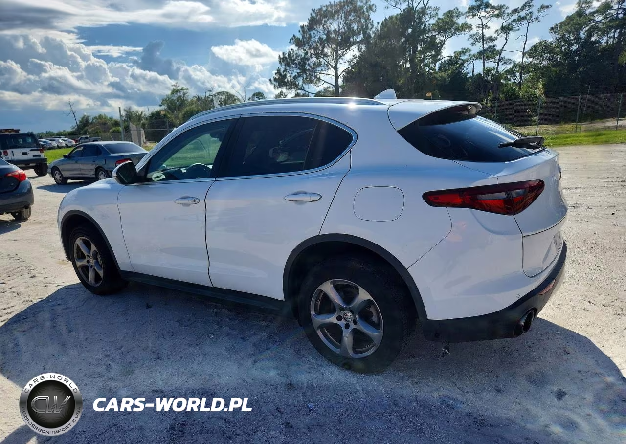 2019 Alfa Romeo Stelvio Sport VIN:ZASPAJAN9K7C38460 - 2