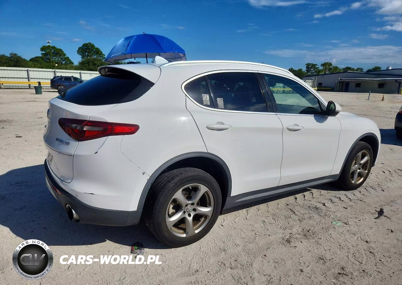 2019 Alfa Romeo Stelvio Sport VIN:ZASPAJAN9K7C38460 - 3
