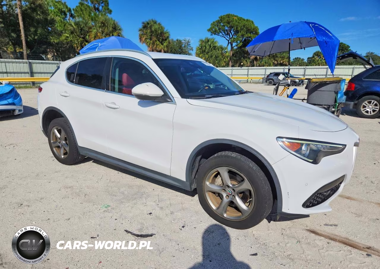 2019 Alfa Romeo Stelvio Sport VIN:ZASPAJAN9K7C38460 - 4