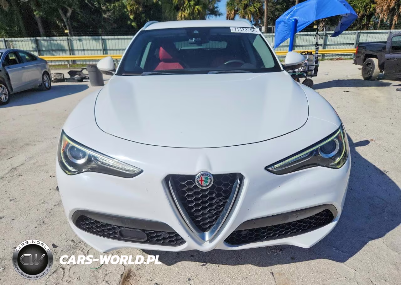 2019 Alfa Romeo Stelvio Sport VIN:ZASPAJAN9K7C38460 - 5