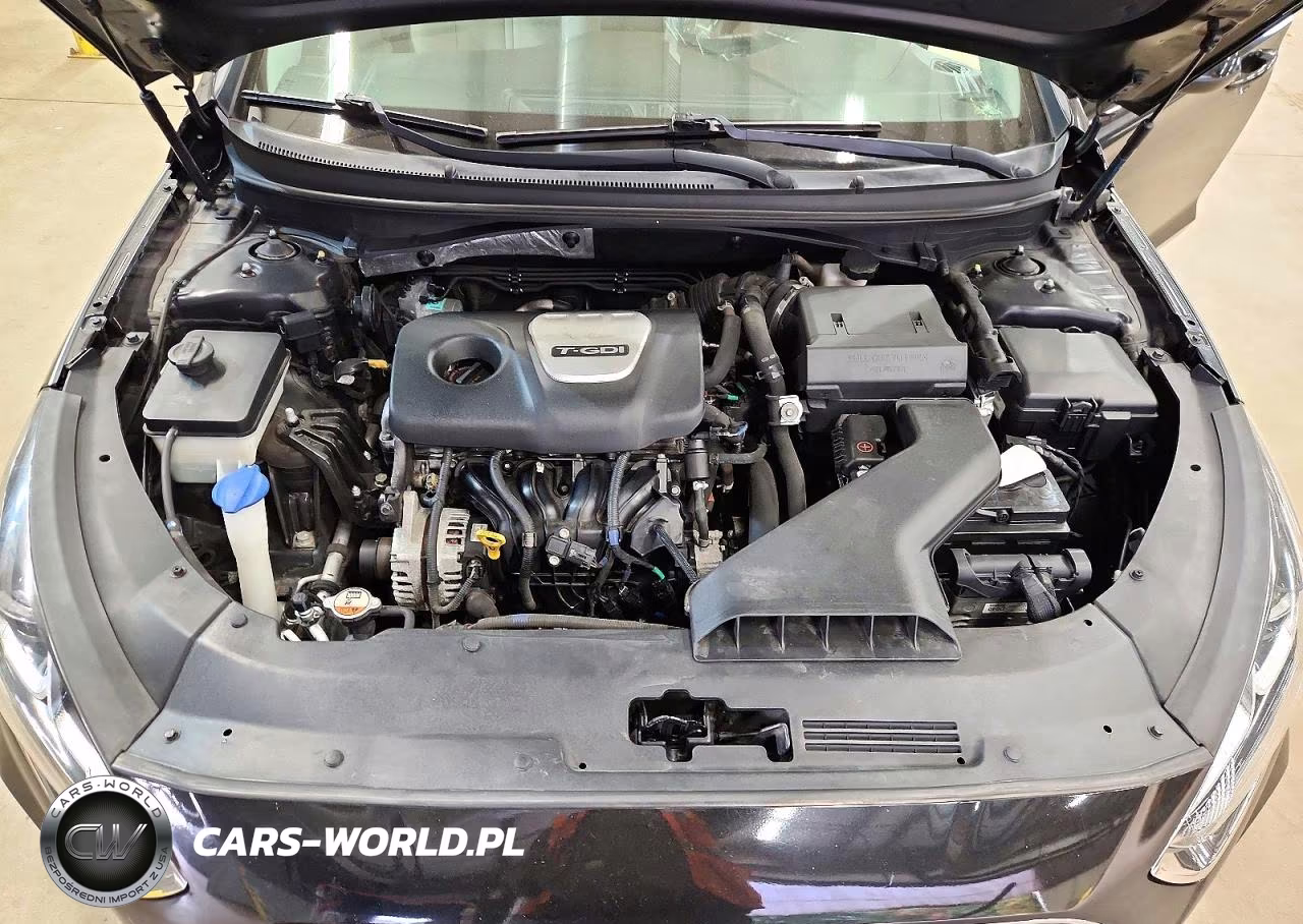 2018 Hyundai Sonata Eco VIN:5NPE24AA2JH701092 - 11