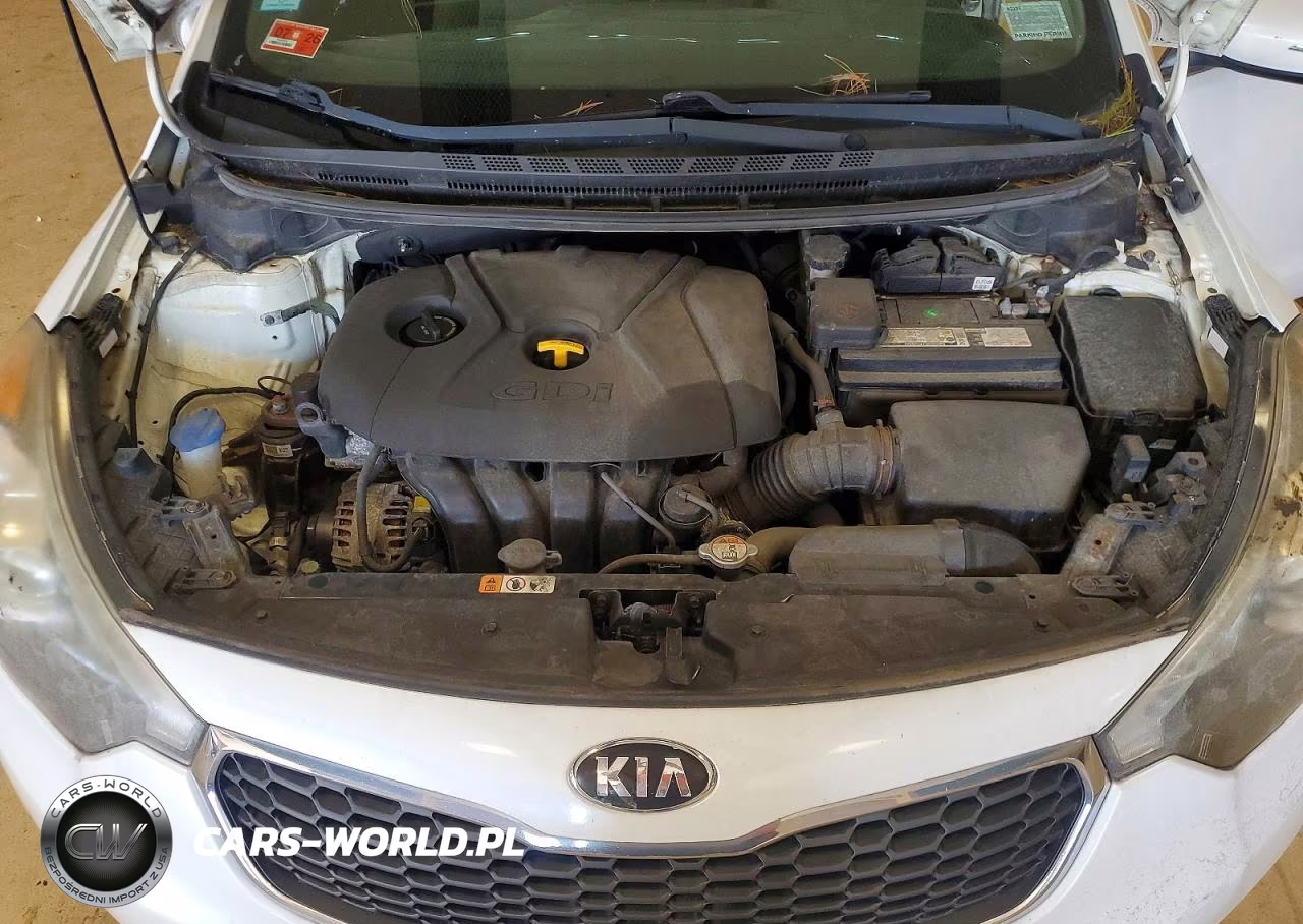 2015 Kia Forte Ex VIN:KNAFX4A81F5266525 - 11
