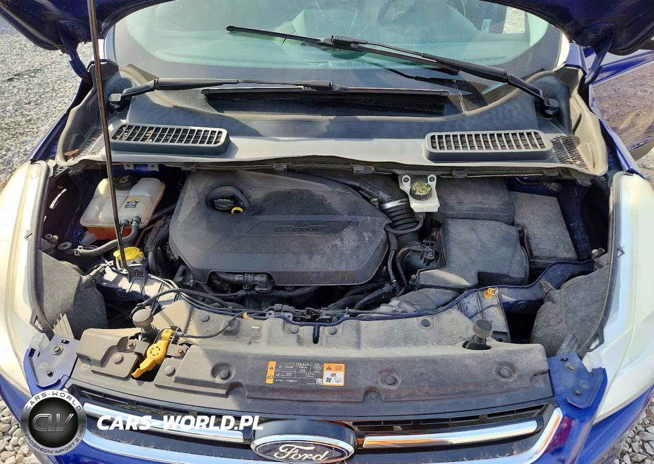 2013 Ford Escape Sel VIN:1FMCU0HX3DUB47538 - 11