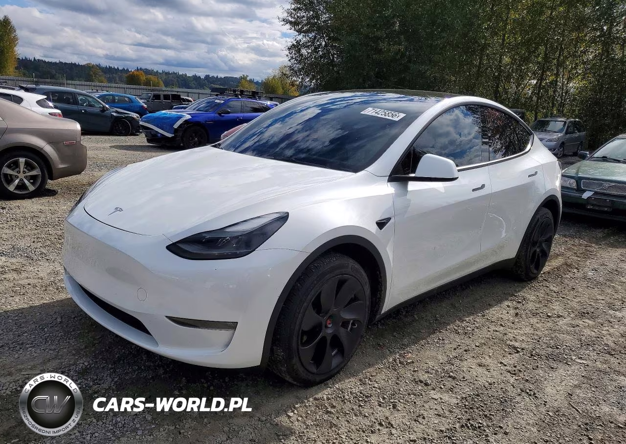 2023 Tesla Model Y VIN:7SAYGDEE2PF662882 - 1