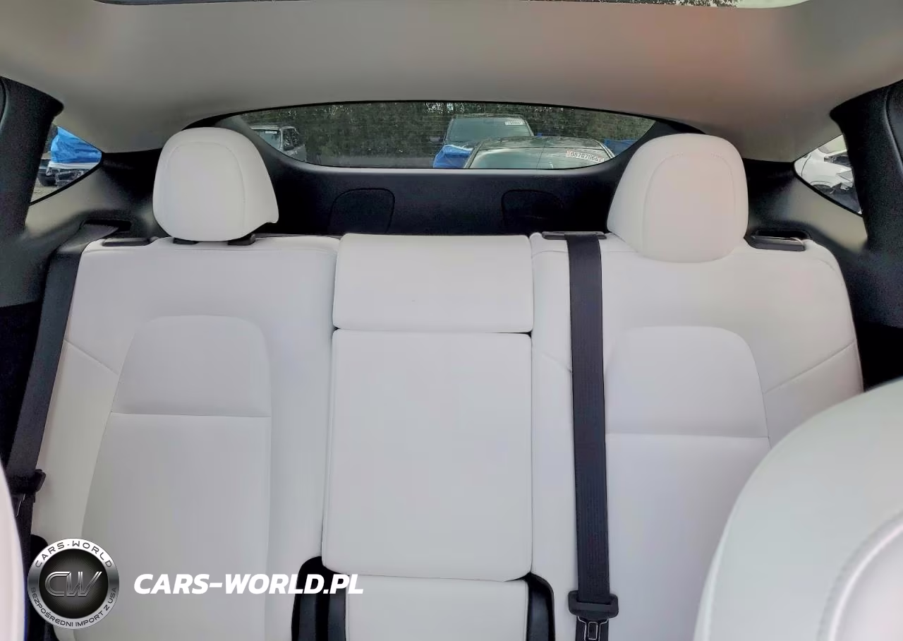 2023 Tesla Model Y VIN:7SAYGDEE2PF662882 - 10