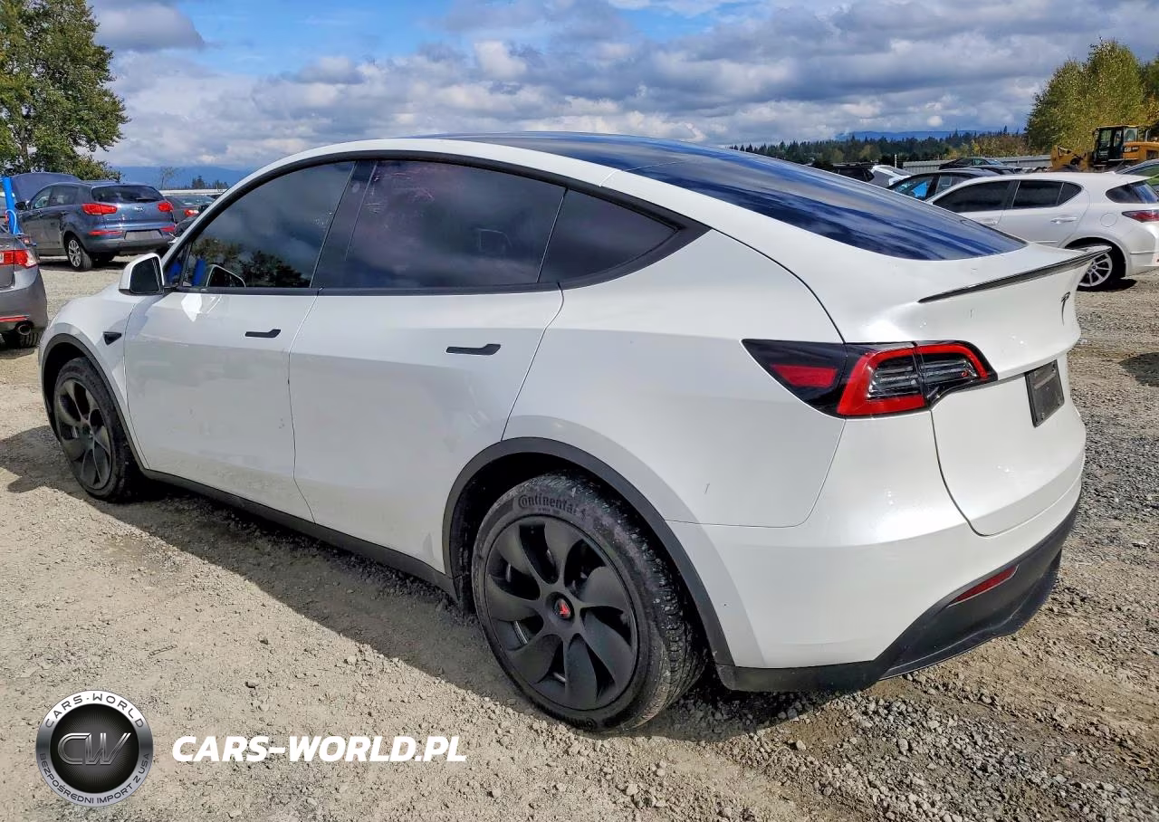 2023 Tesla Model Y VIN:7SAYGDEE2PF662882 - 2