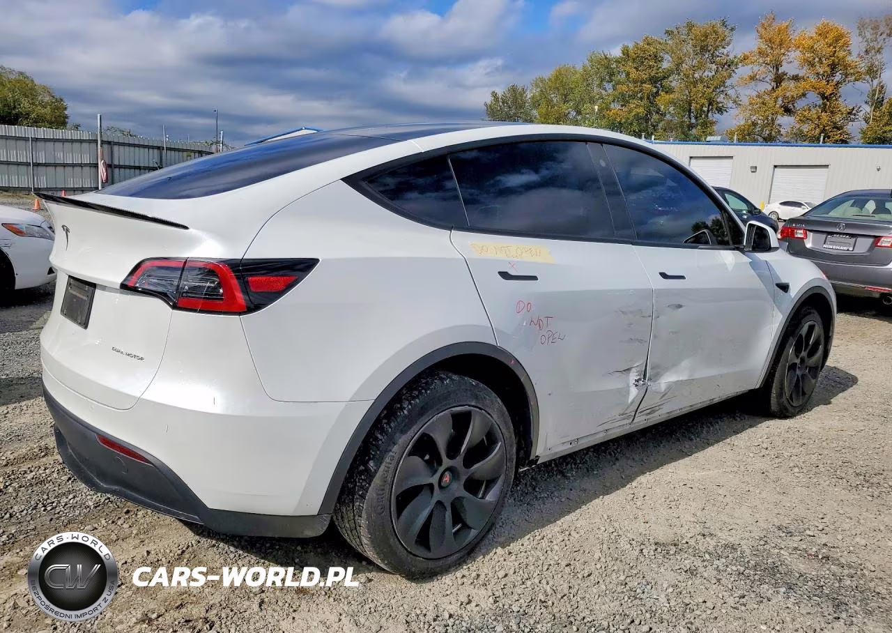 2023 Tesla Model Y VIN:7SAYGDEE2PF662882 - 3