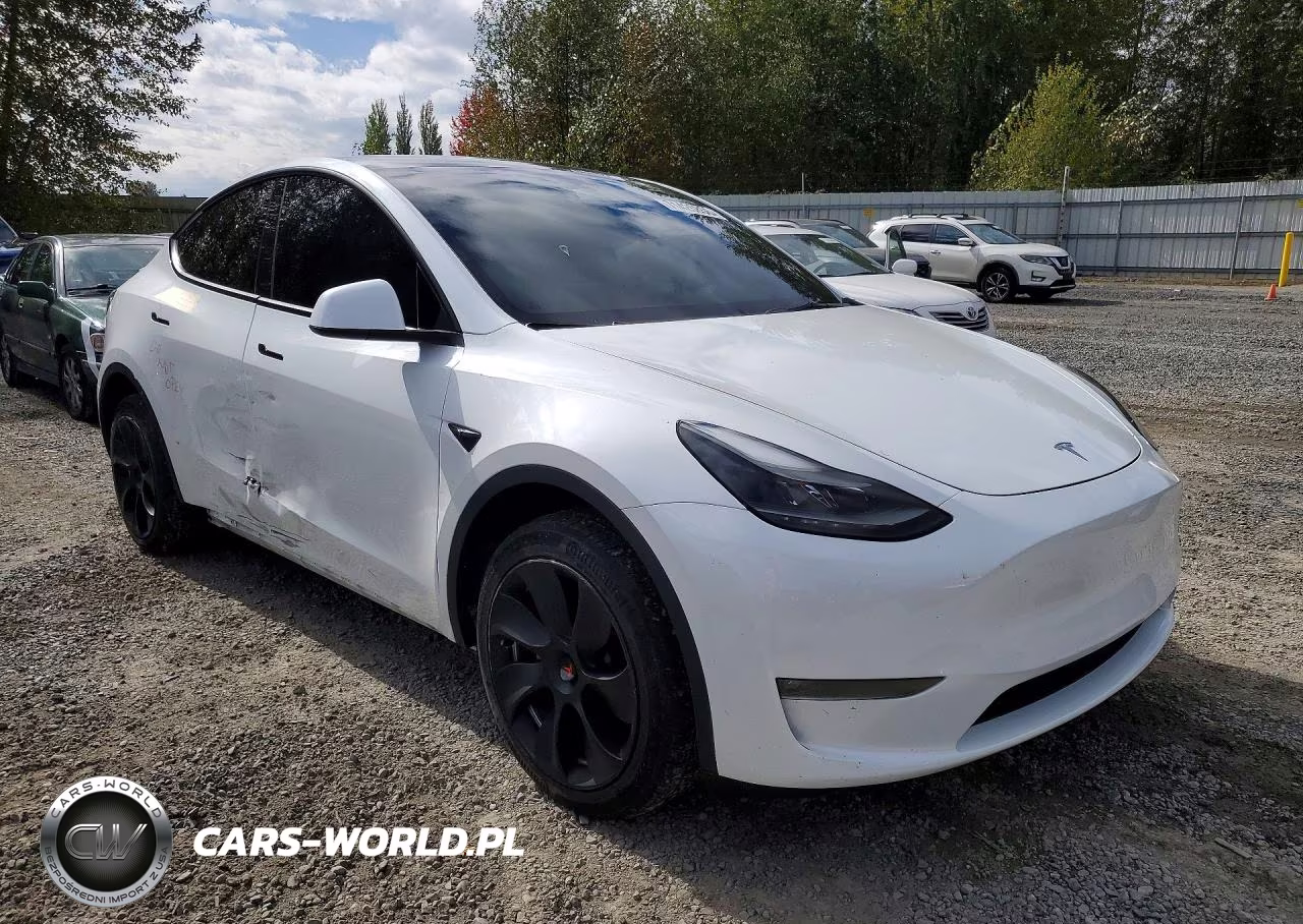 2023 Tesla Model Y VIN:7SAYGDEE2PF662882 - 4