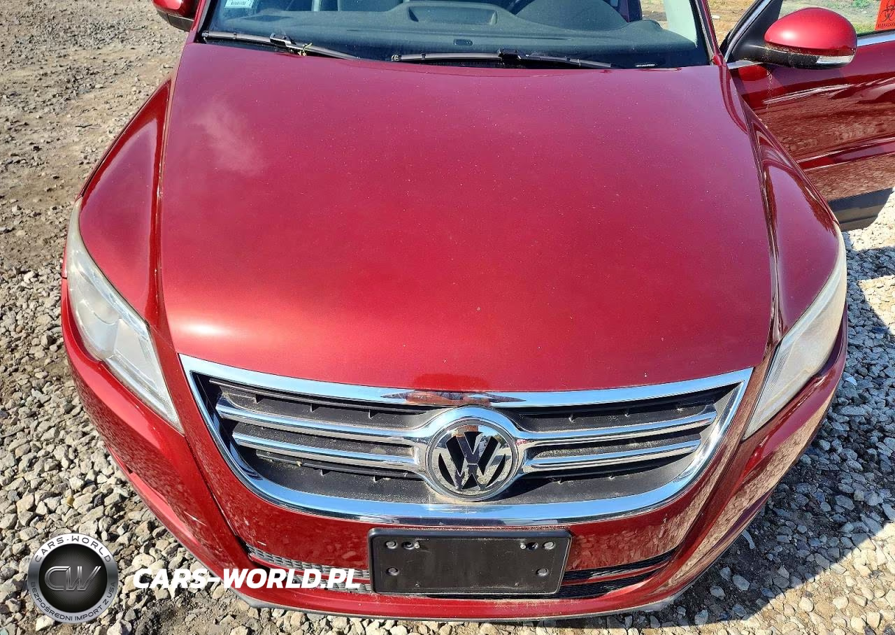 2010 Volkswagen Tiguan Se VIN:WVGBV7AX6AW002361 - 11