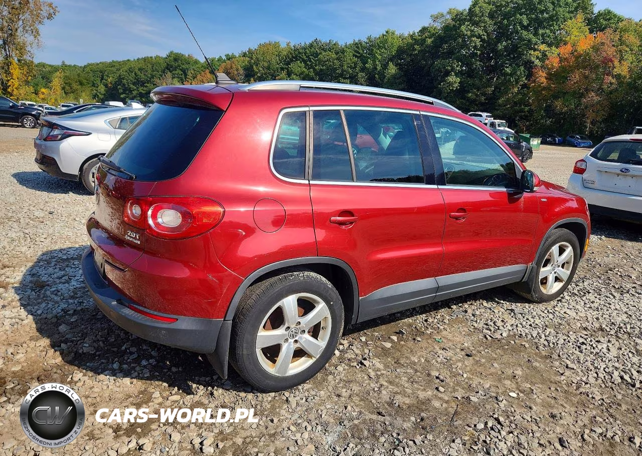 2010 Volkswagen Tiguan Se VIN:WVGBV7AX6AW002361 - 3