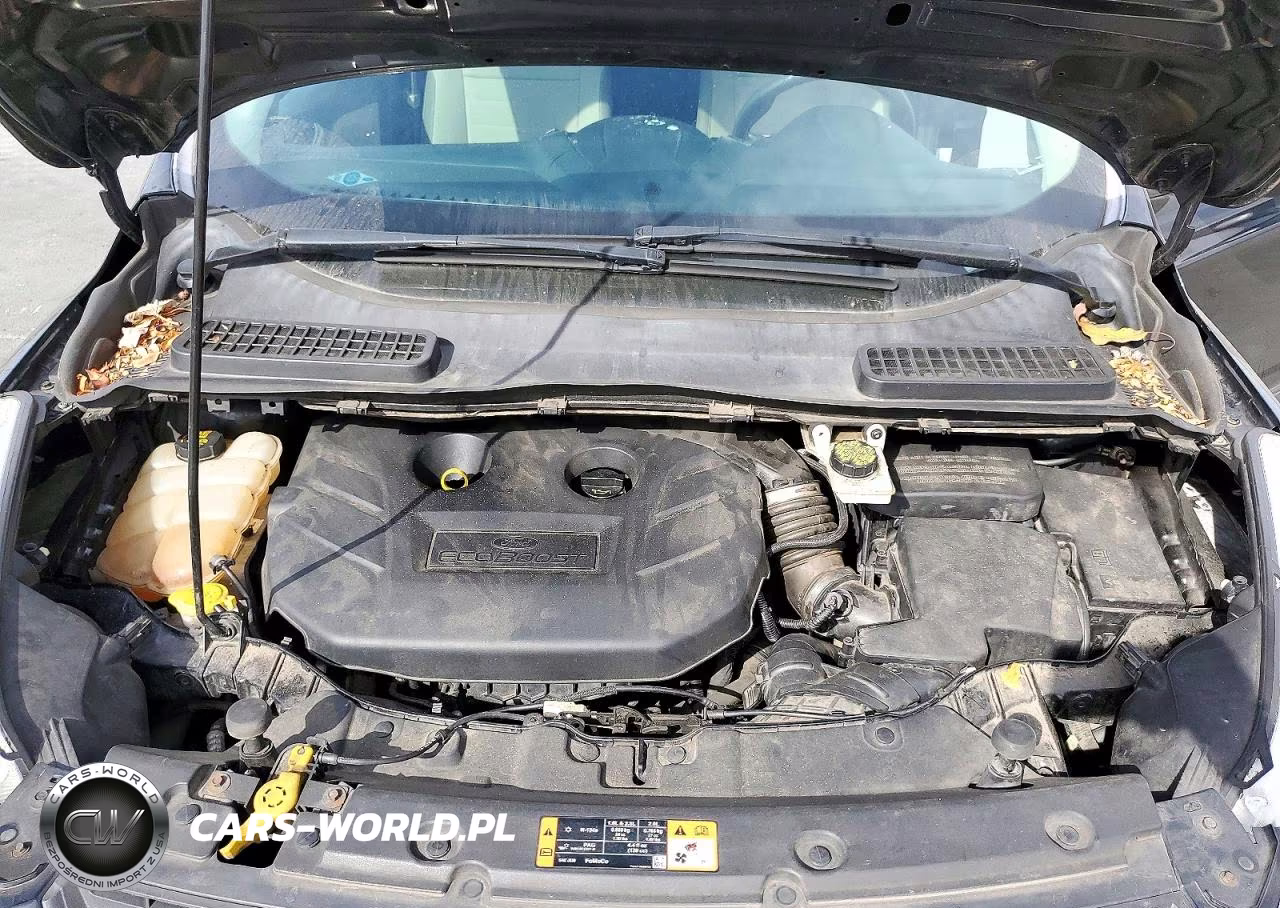 2015 Ford Escape Se VIN:1FMCU9G92FUB35326 - 12