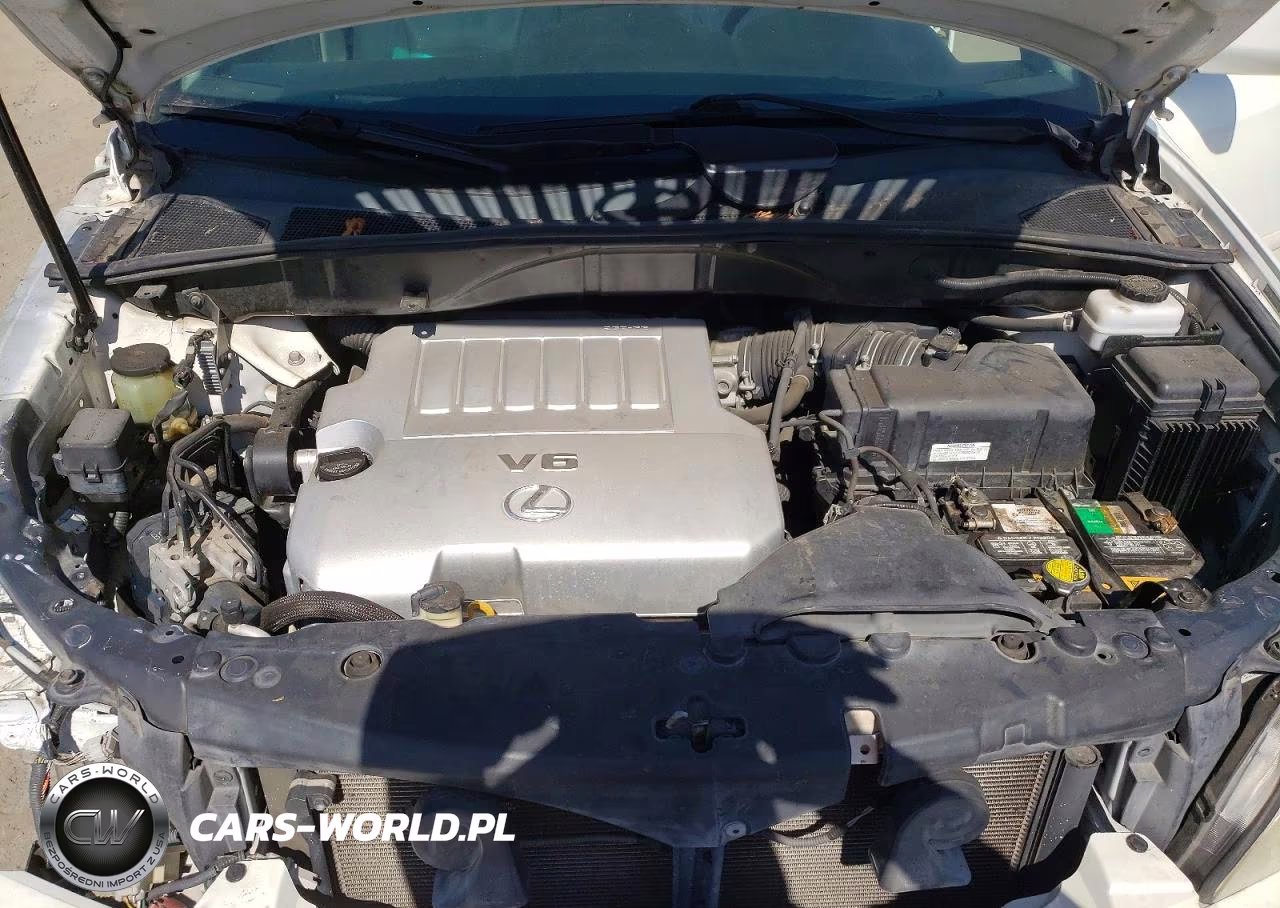 2009 Lexus Rx 350 Base VIN:2T2GK31U39C072210 - 11