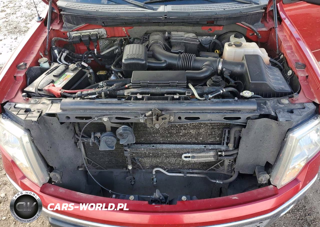 2010 Ford F150 Supercrew VIN:1FTFW1CV8AFB38079 - 11