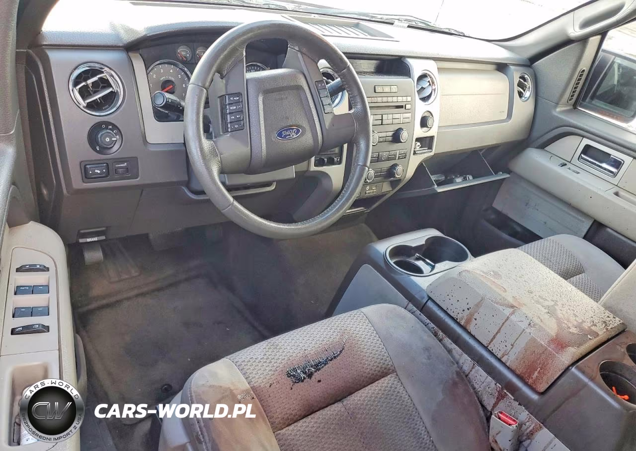 2010 Ford F150 Supercrew VIN:1FTFW1CV8AFB38079 - 8