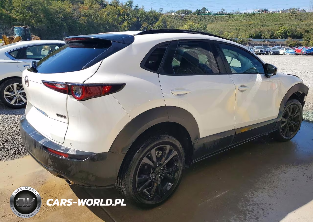 2026 Mazda Cx-30 Preferred VIN:3MVDMBCLXTM117009 - 3