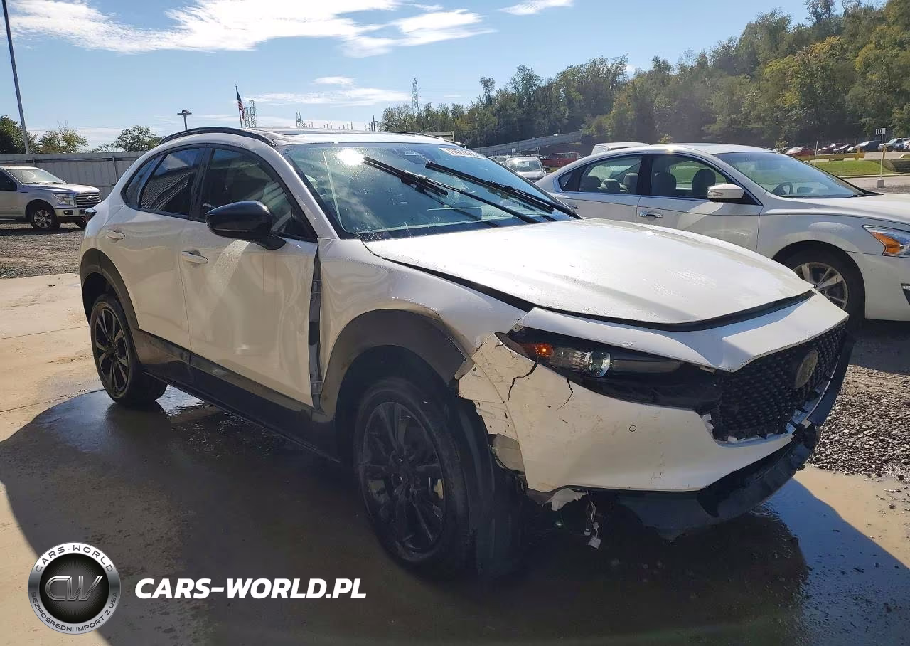 2026 Mazda Cx-30 Preferred VIN:3MVDMBCLXTM117009 - 4