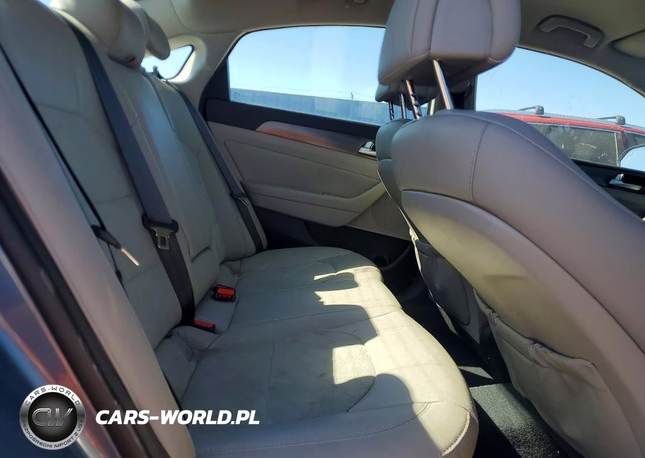 2015 Hyundai Sonata Sport VIN:5NPE34AF4FH146534 - 10