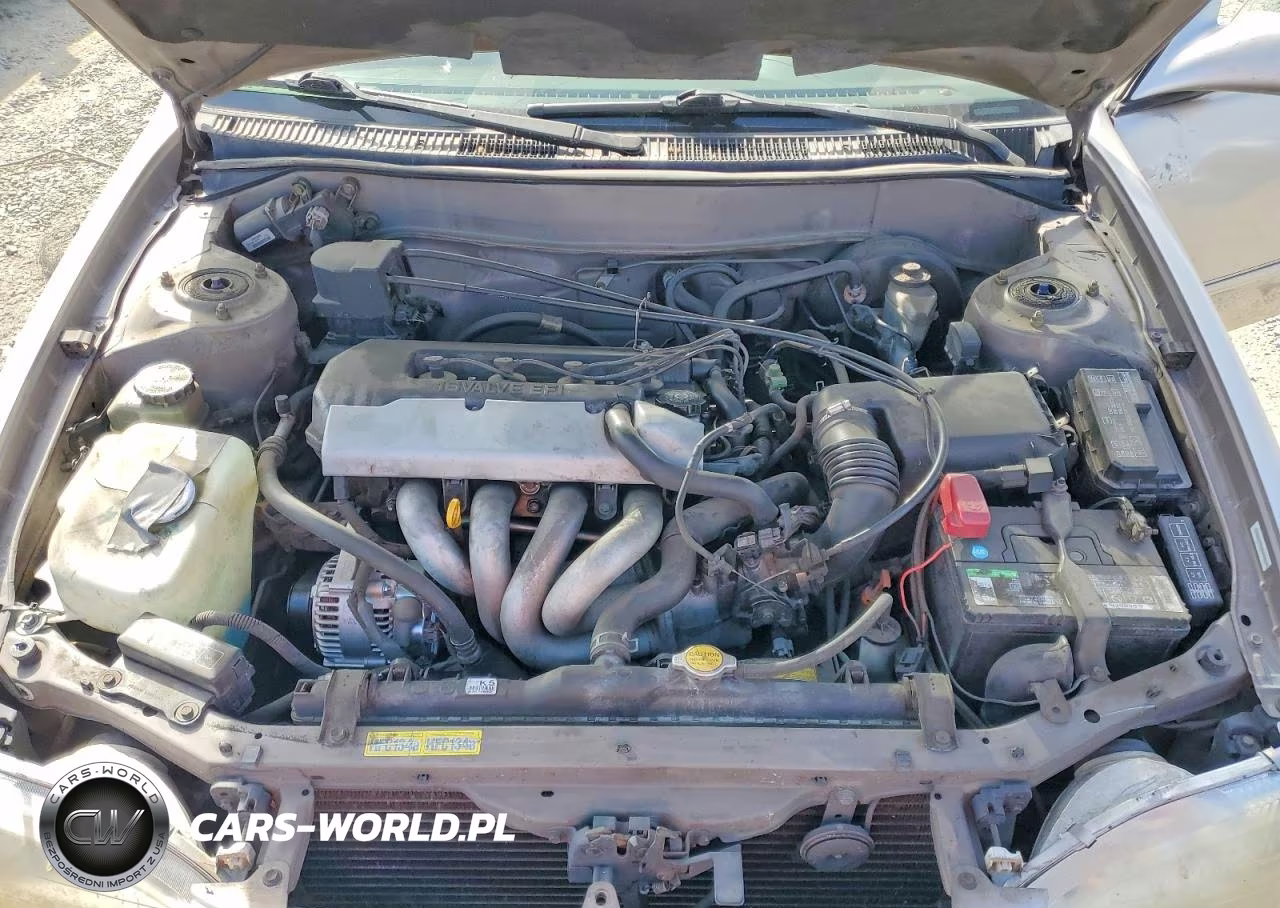 1999 Toyota Corolla Ve VIN:1NXBR12E9XZ274065 - 11