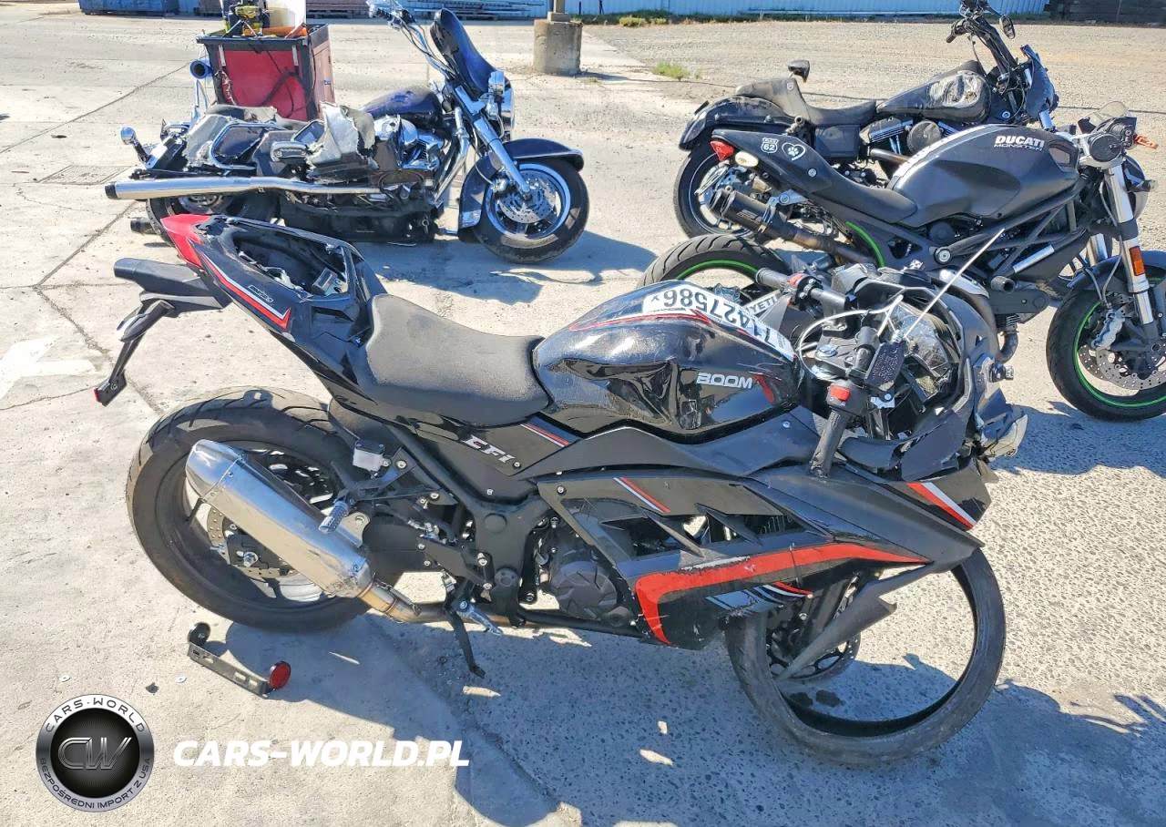2025 Boom Bd250-5 Efi 250 Superbike – zdjęcie 1 z 9
