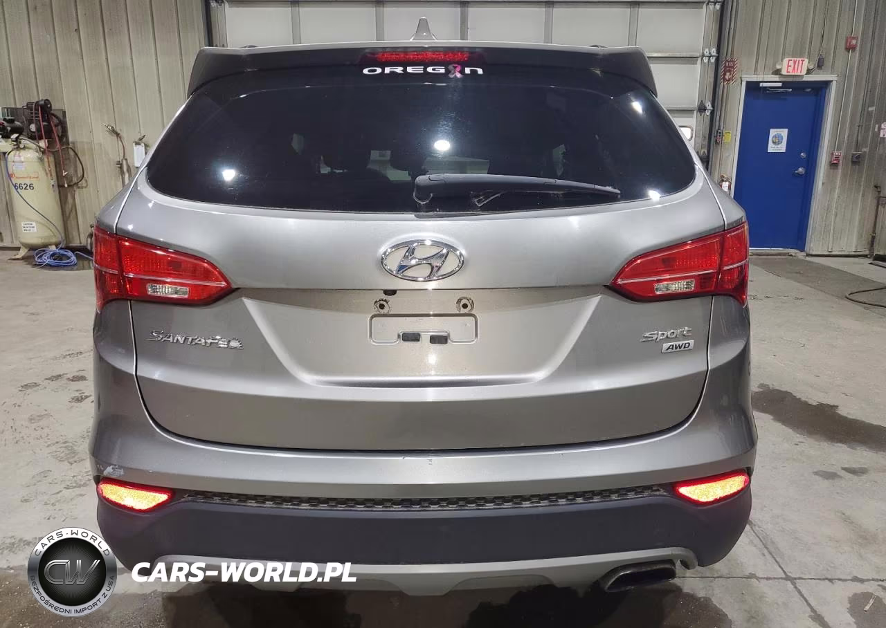 2015 Hyundai Santa Fe Sport VIN:5XYZUDLB5FG250207 - 6