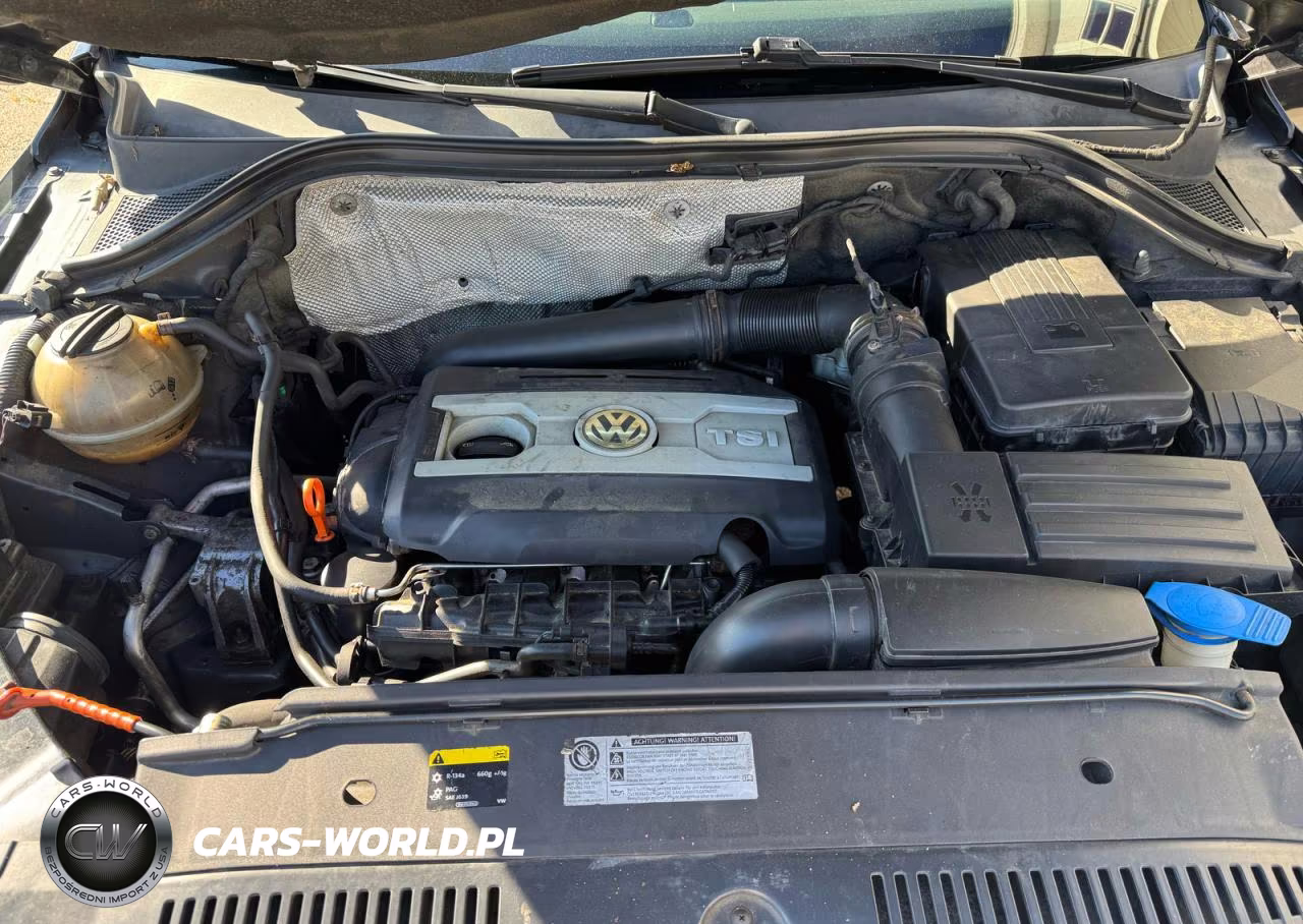 2009 Volkswagen Tiguan Se VIN:WVGBV95N39W527524 - 7